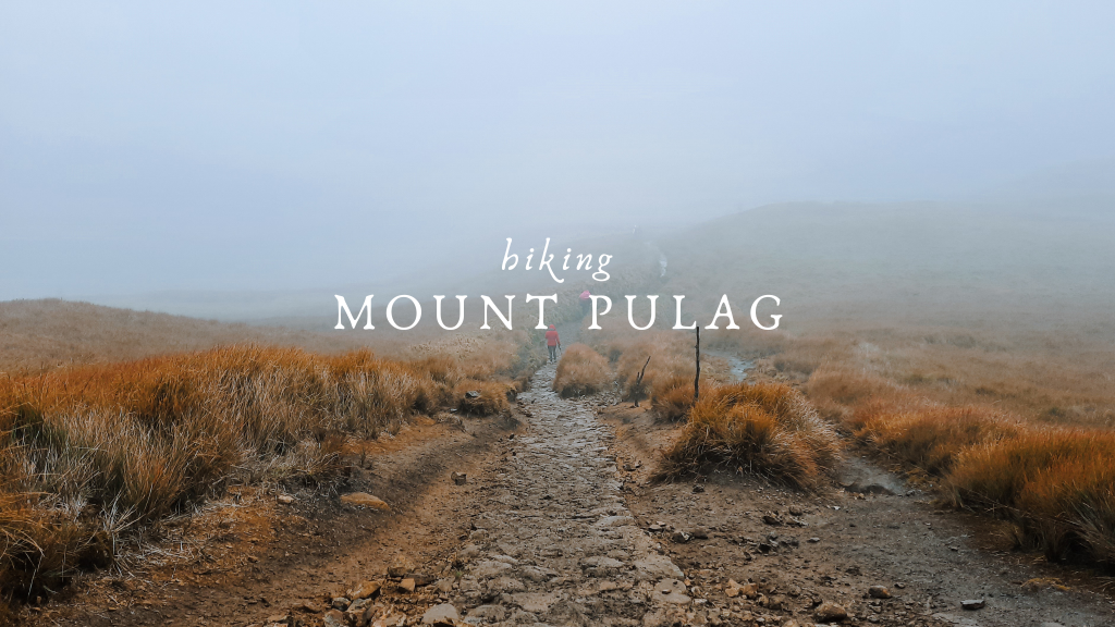 Misty grassland area at Mount Pulag with text saying "Hiking Mount Pulag"